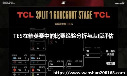 TES在精英赛中的比赛经验分析与表现评估